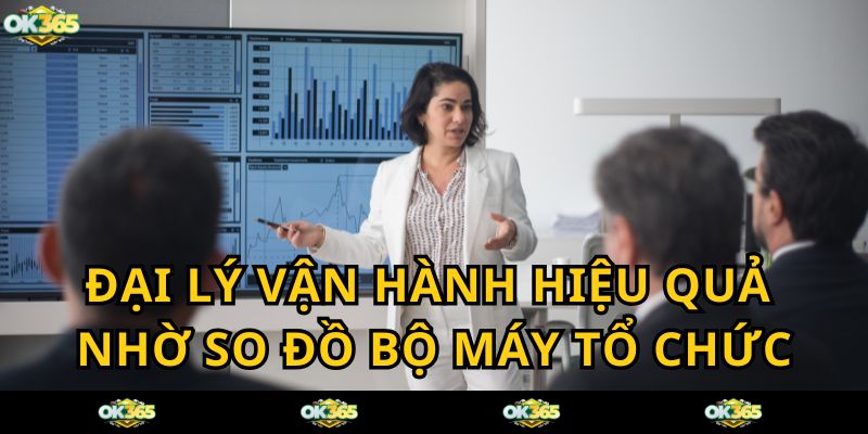 Sơ đồ bộ máy tổ chức OK365 COM được tổ chức 1 cách tối ưu giúp đại lý vận hành hiệu quả